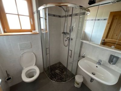 1-Zimmer-Appartement Zirbe
